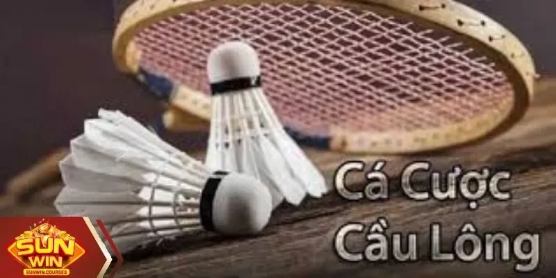 Khái quát về cá cược cầu lông