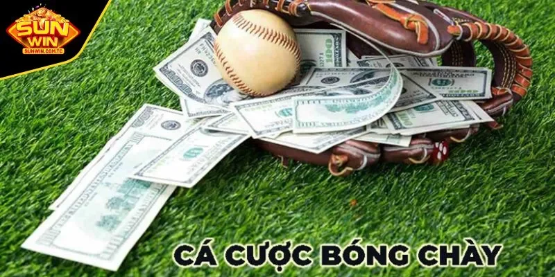 Những điều thú vị về cá độ bóng chày