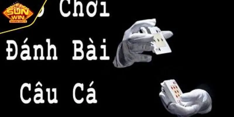Quan sát tinh tường các quân bài trên bàn